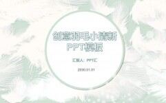 淡雅小清新羽毛通用PPT模板