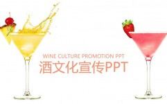 精美大气商务酒文化宣传介绍汇报总结PPT模板